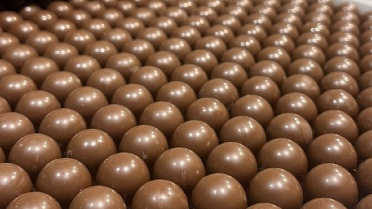 Rows of smooth round chocolate bonbons during production